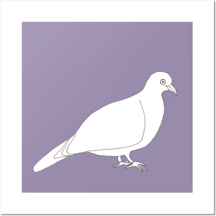 Purple Wood Pigeon Posters and Art